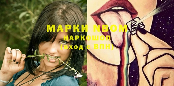 PSILOCYBIN Заводоуковск