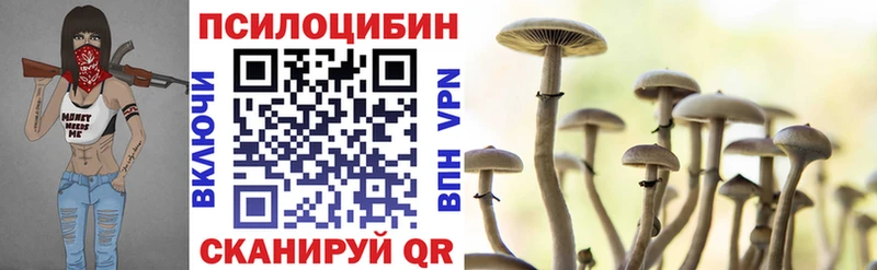 Псилоцибиновые грибы Cubensis  Купить где  Инта 