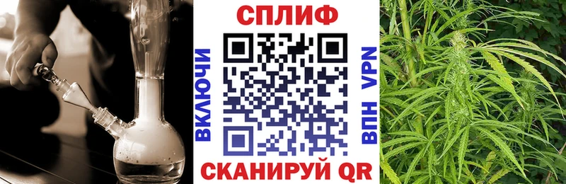 Купить Инта Канабис OG Kush